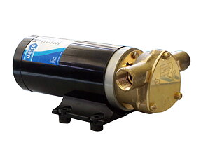 Elektrische Flügelradpumpen