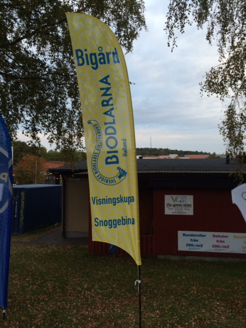 Beachflagga B3 - 2