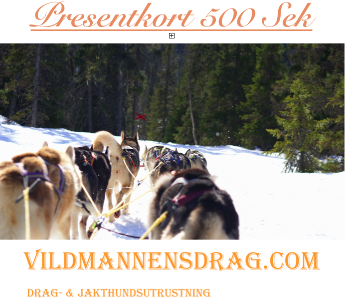 Presentkort 500 Sek