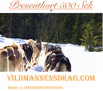 Presentkort 500 Sek