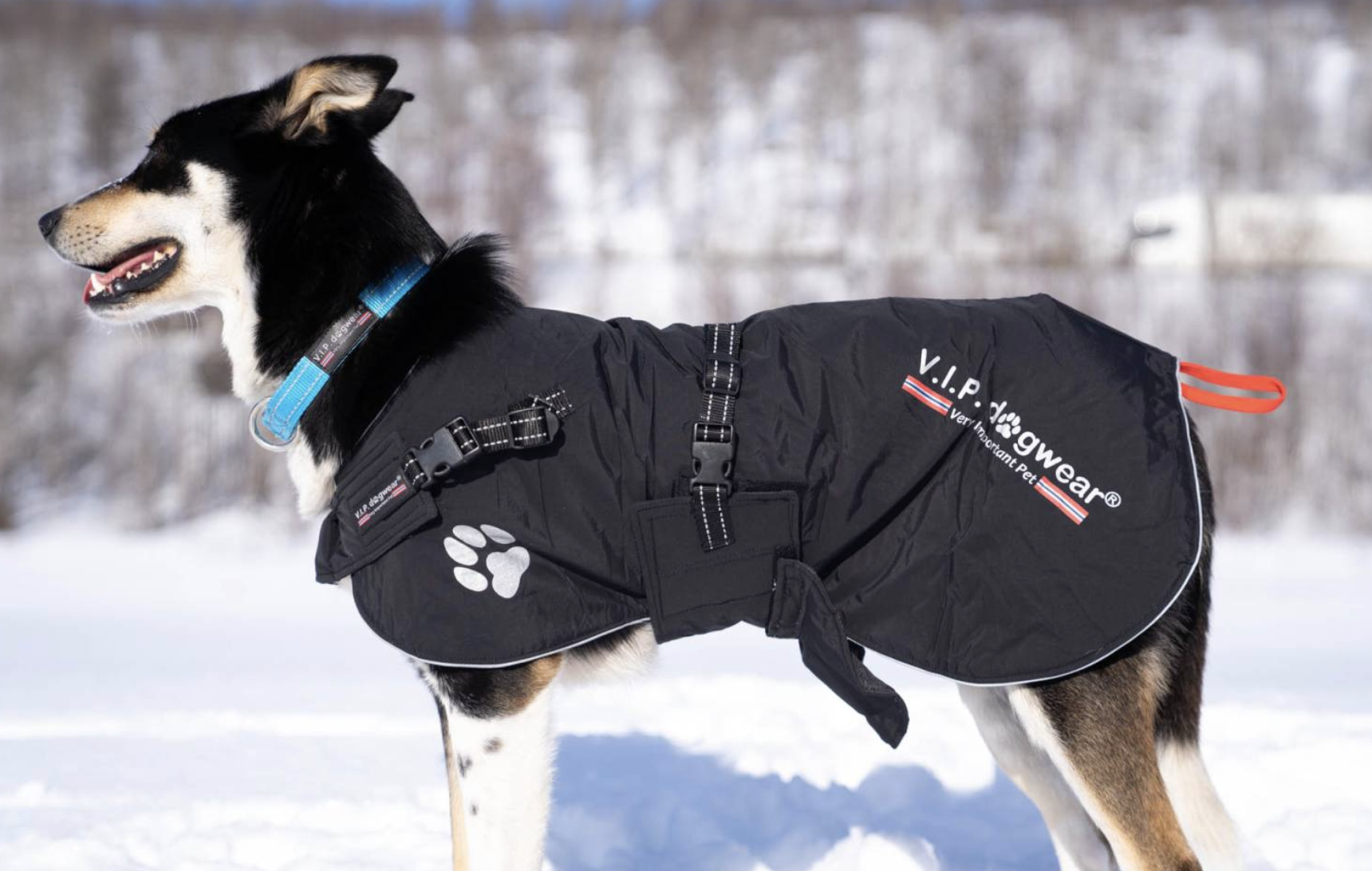 V.I.P Thermo blanket