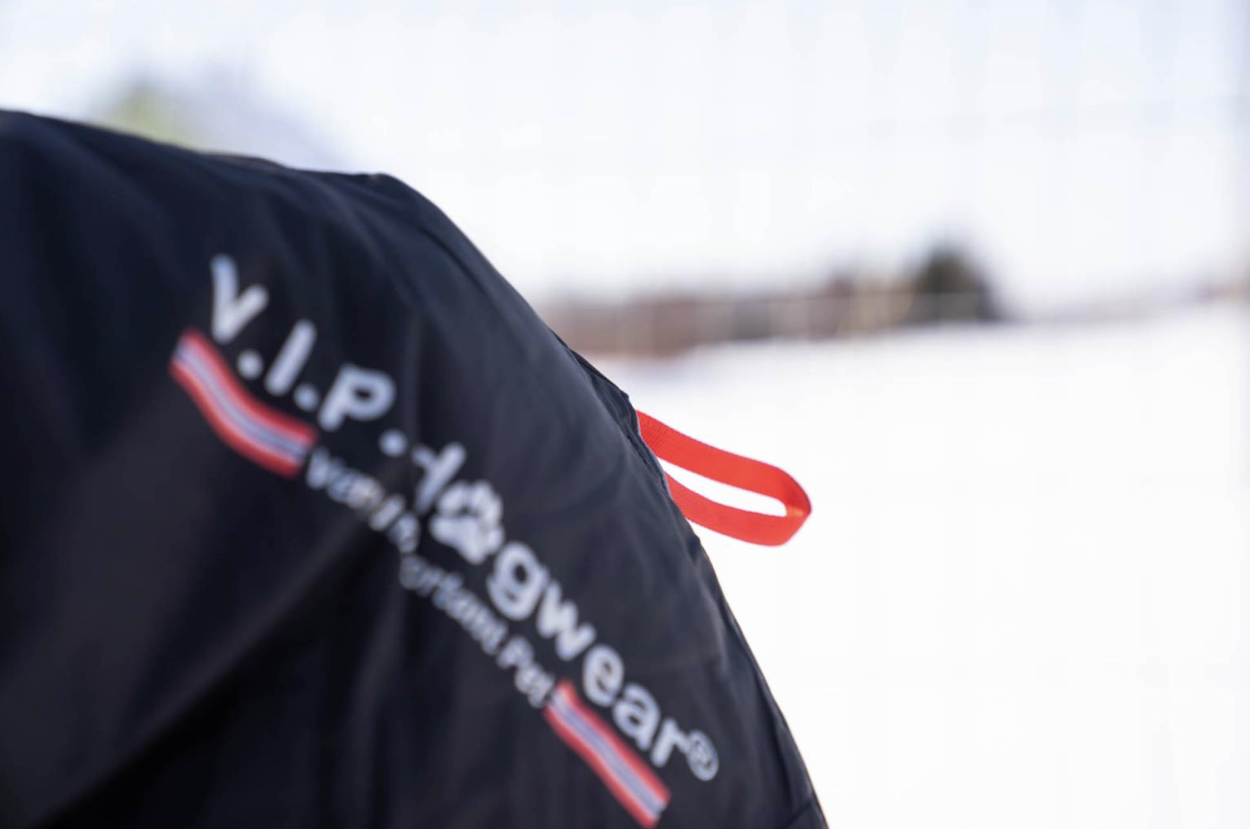 V.I.P Thermo blanket - 6