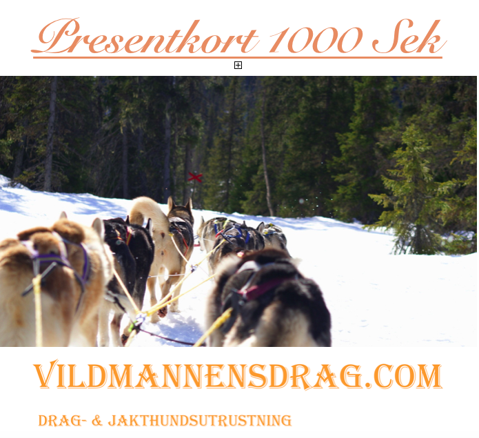 Presentkort 1000 Sek