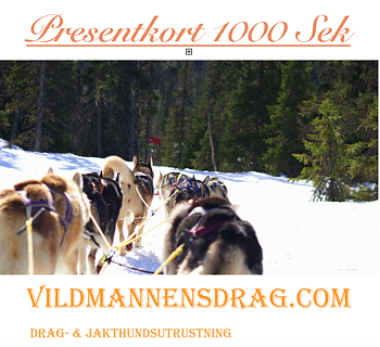 Presentkort 1000 Sek