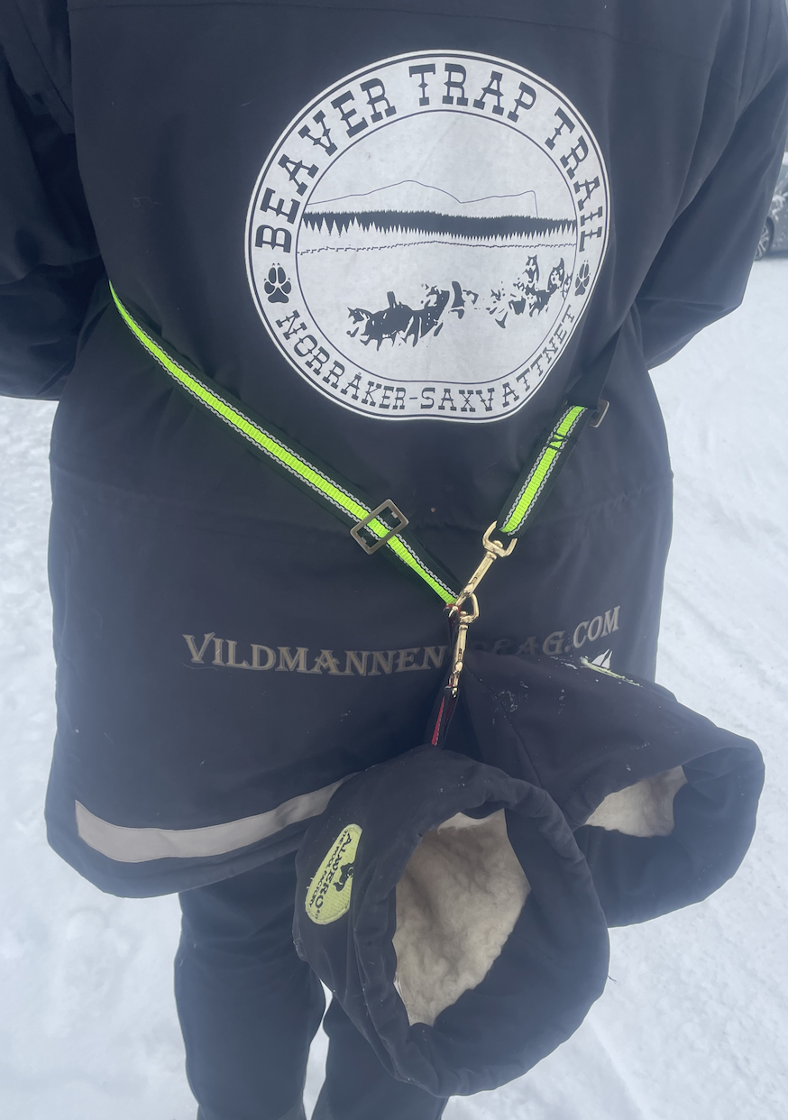 VMD Vanthängslen - 2