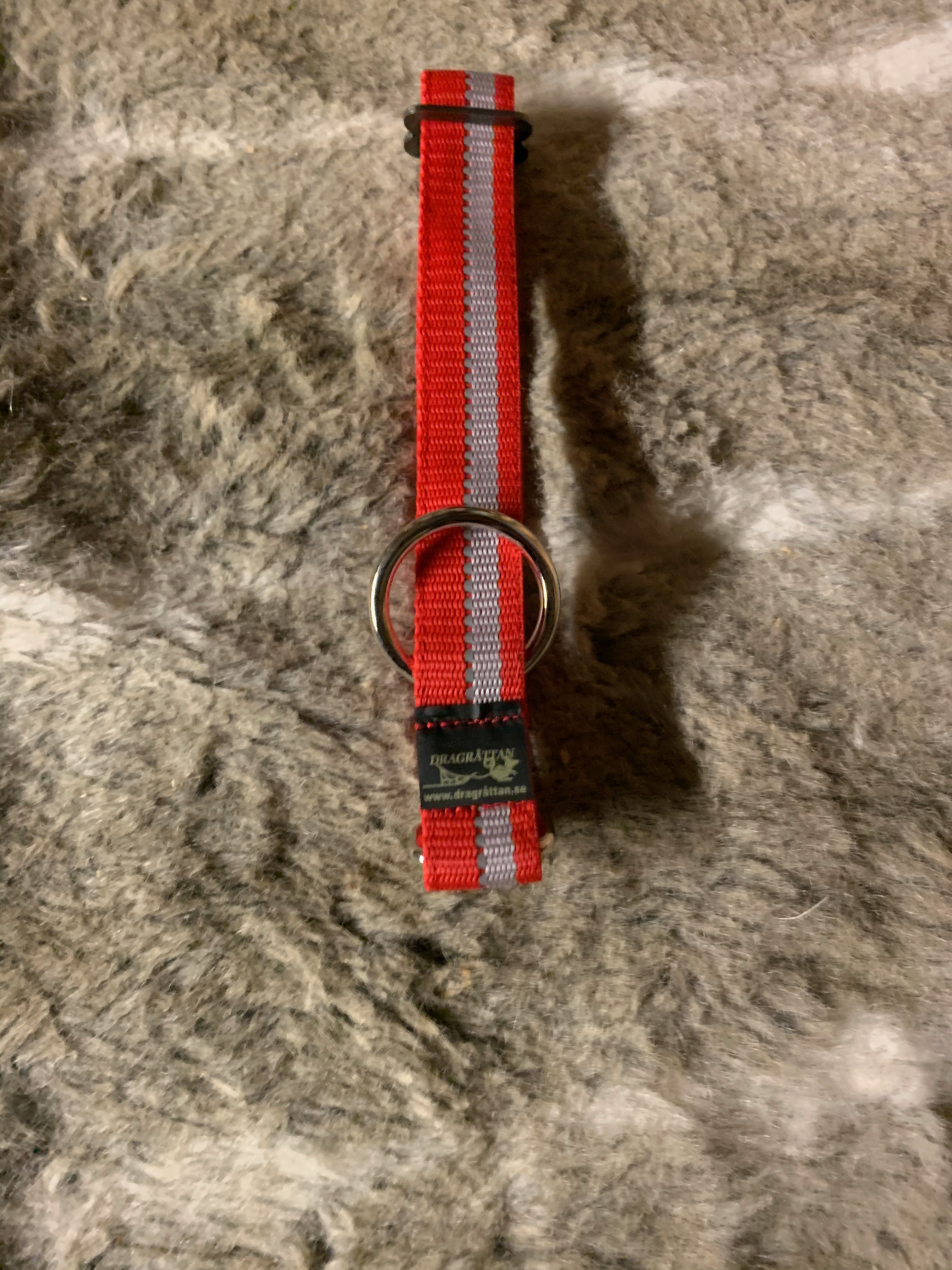 Dragråttans nomehalsband - 2
