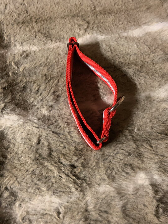 product-image Dragråttans nomehalsband