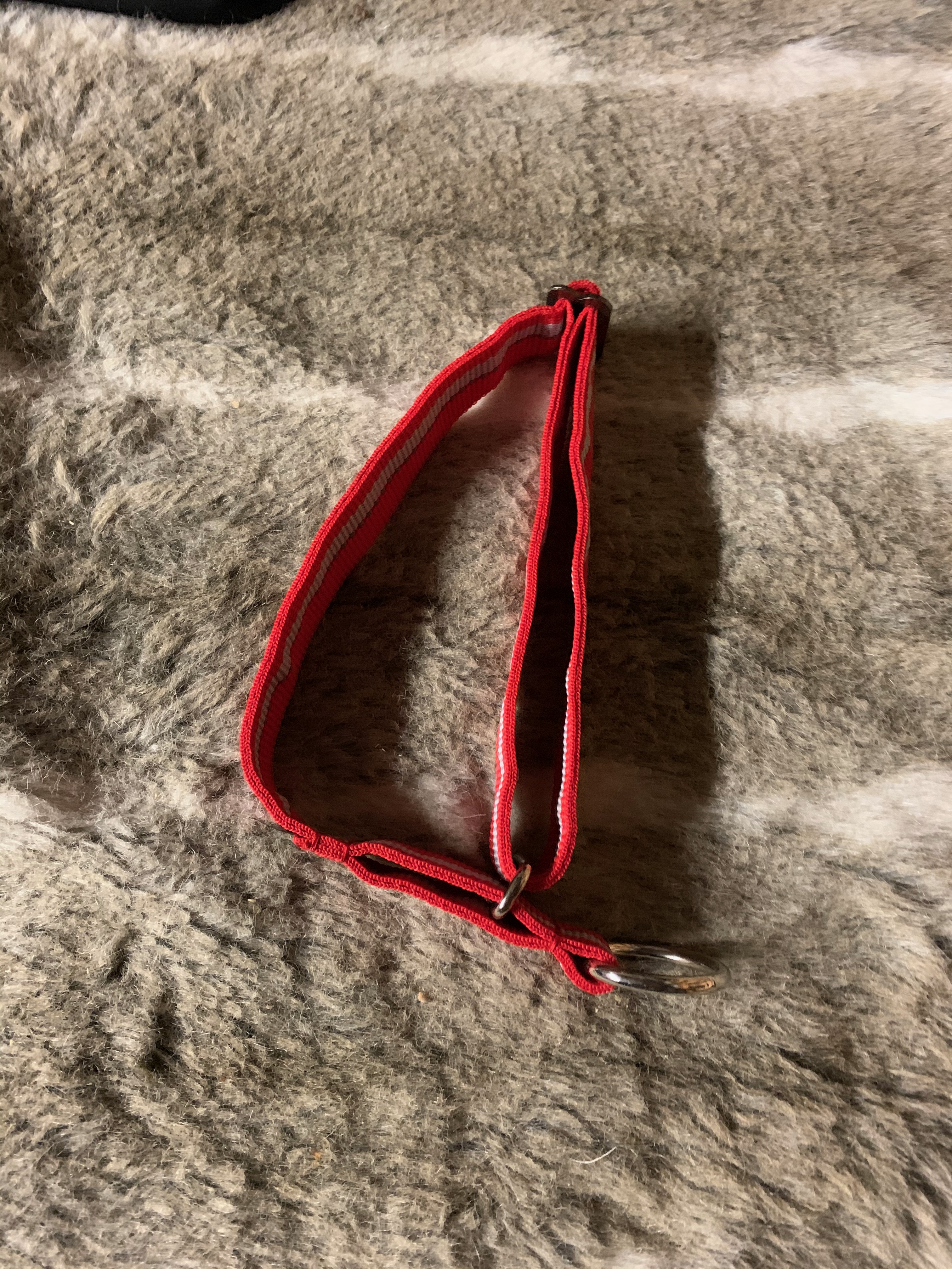 Dragråttans nomehalsband halvstryp