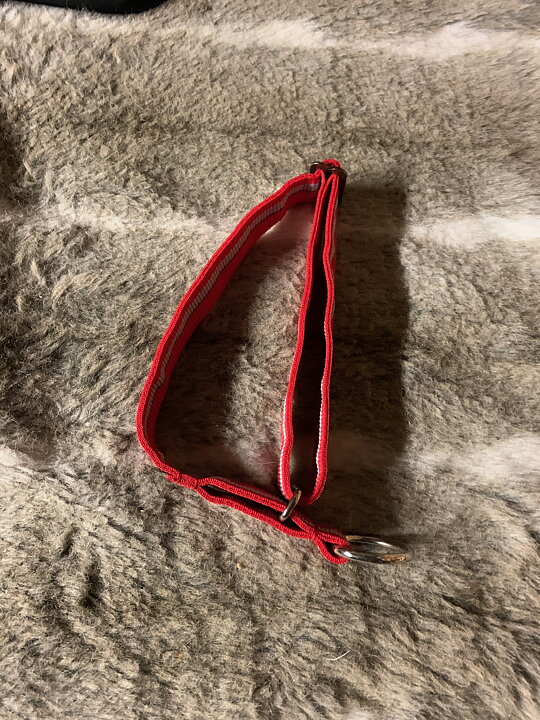 product-image Dragråttans nomehalsband halvstryp