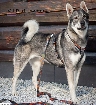 V.I.P Tracker sele