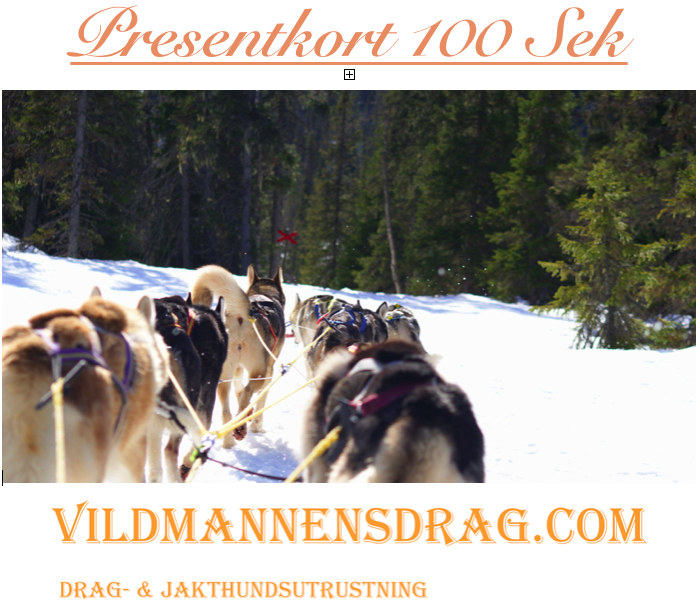 Gift card 100 Sek
