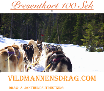 Presentkort 100 Sek