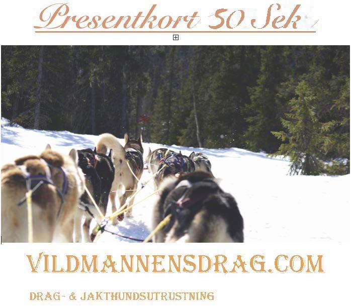 Presentkort 50 Sek