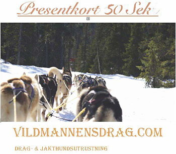 Presentkort 50 Sek