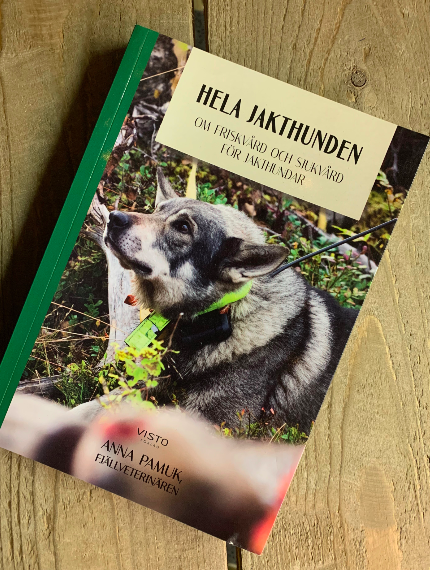 Hundvård
