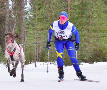 Skidor