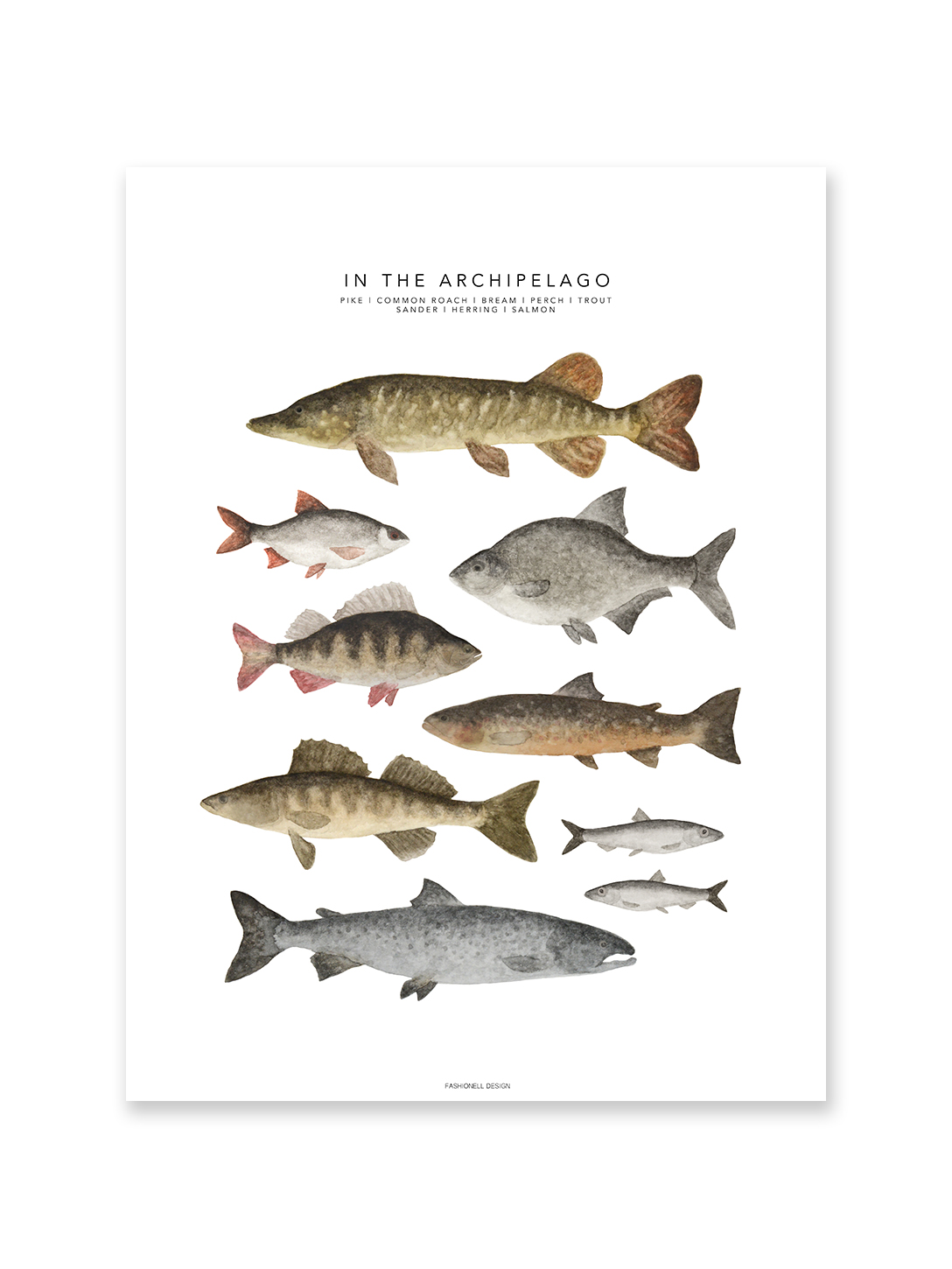 In the Archipelago