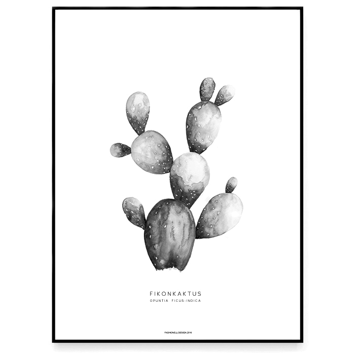 Indian fig opuntia - 2