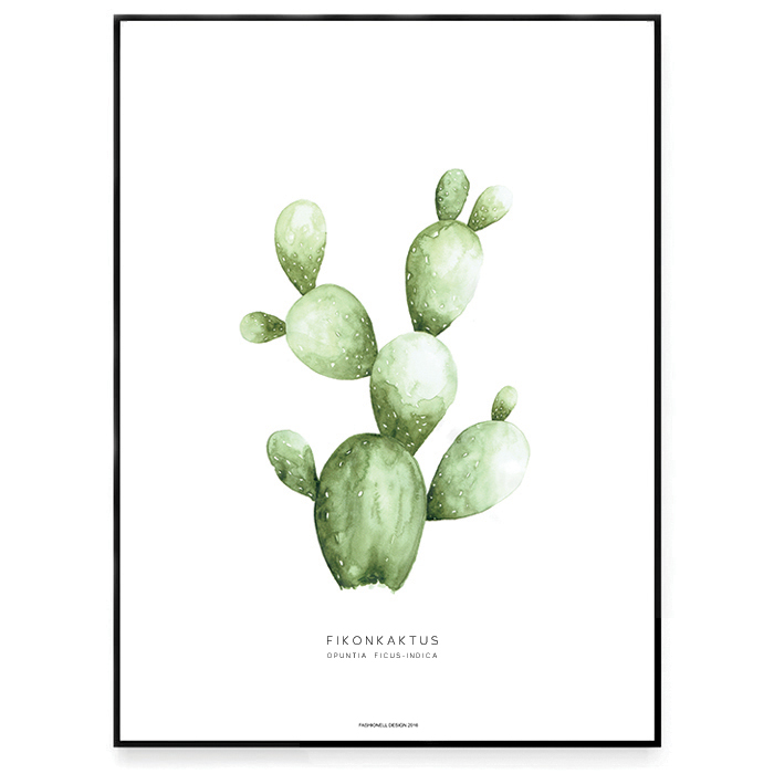 Indian fig opuntia