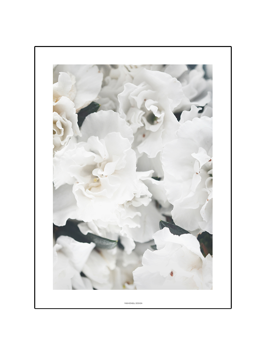 White Flowers - 2