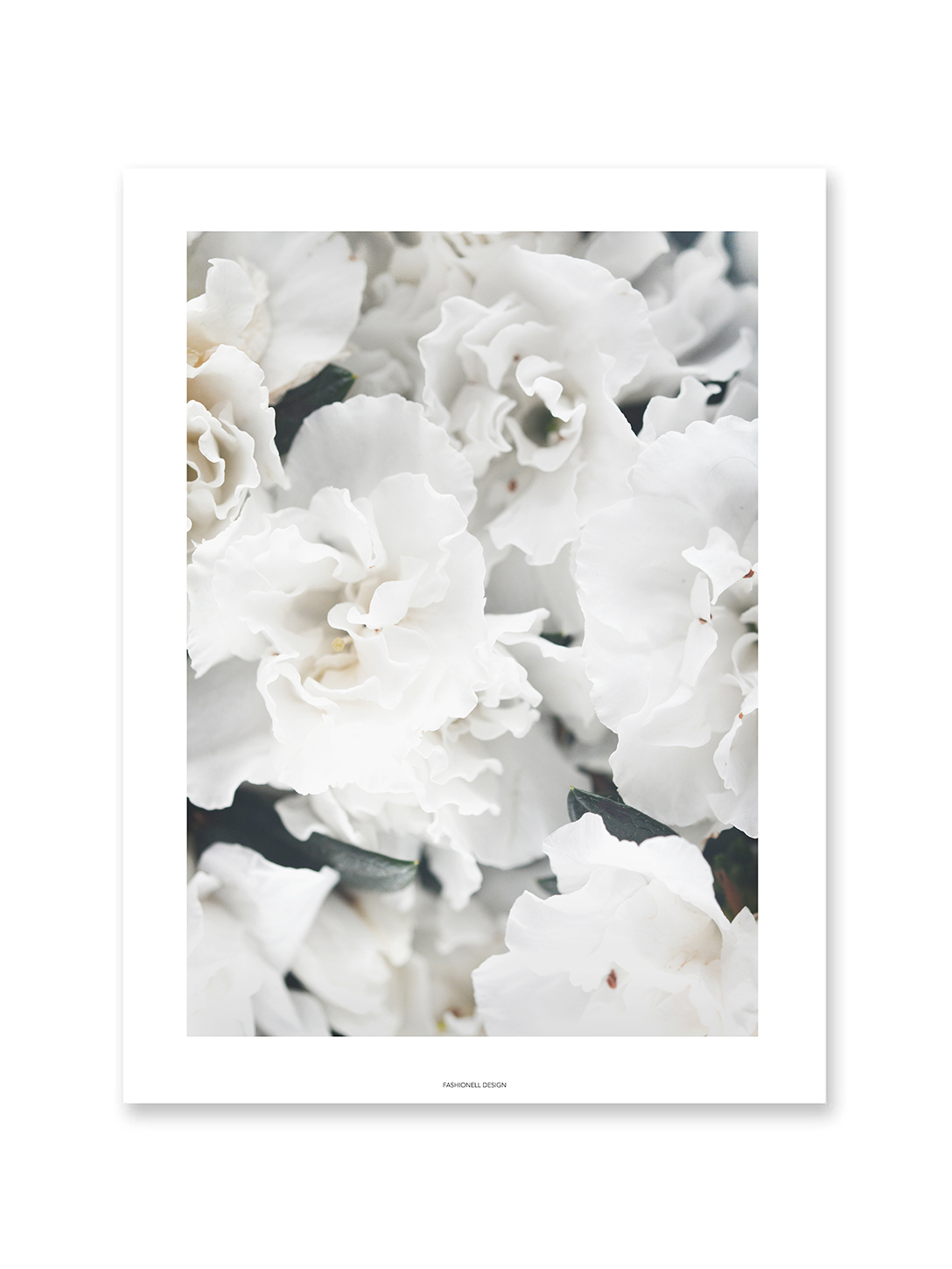 White Flowers