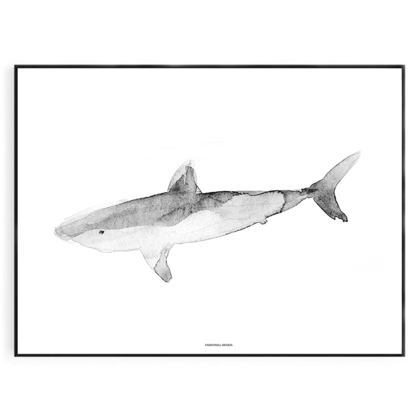 Great white Shark