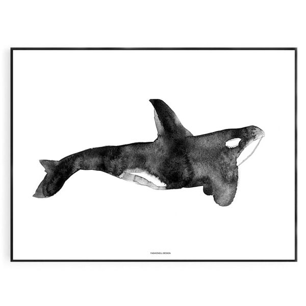 Killer Whale