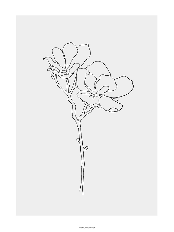 Magnolia - 4