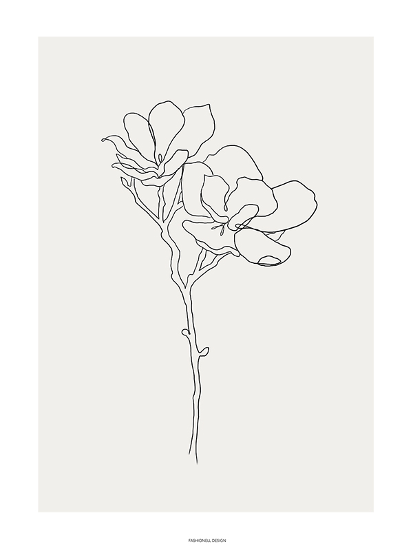 Magnolia