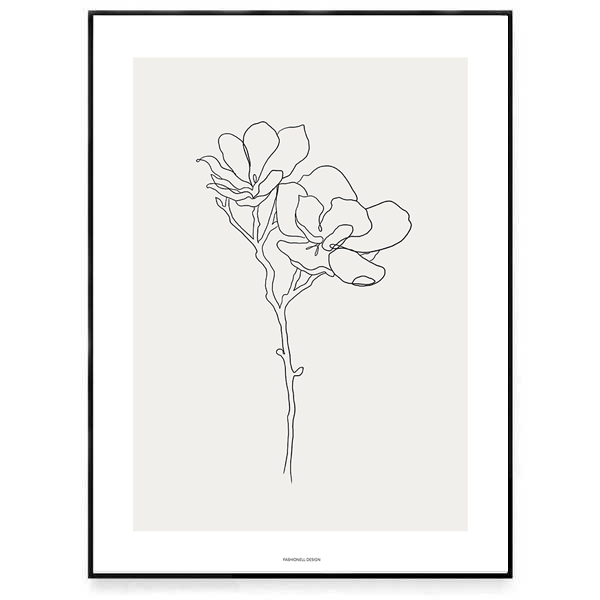 Magnolia