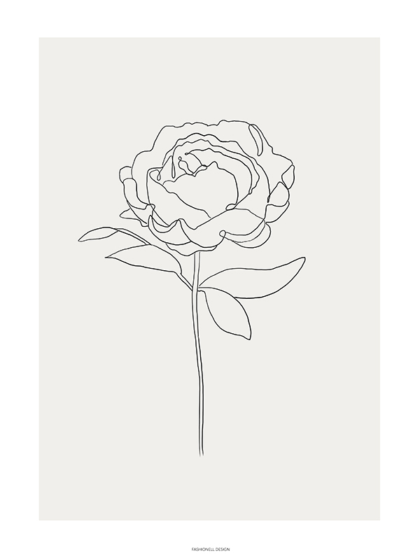 Peony