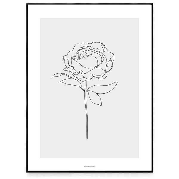 Peony - 3