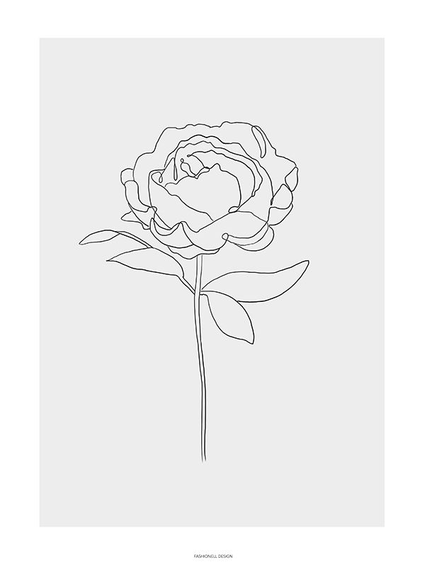 Peony - 4