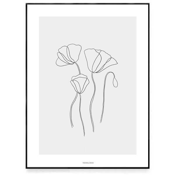 Poppy - 3