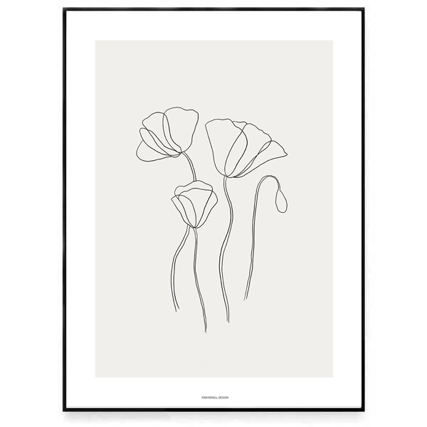 Poppy