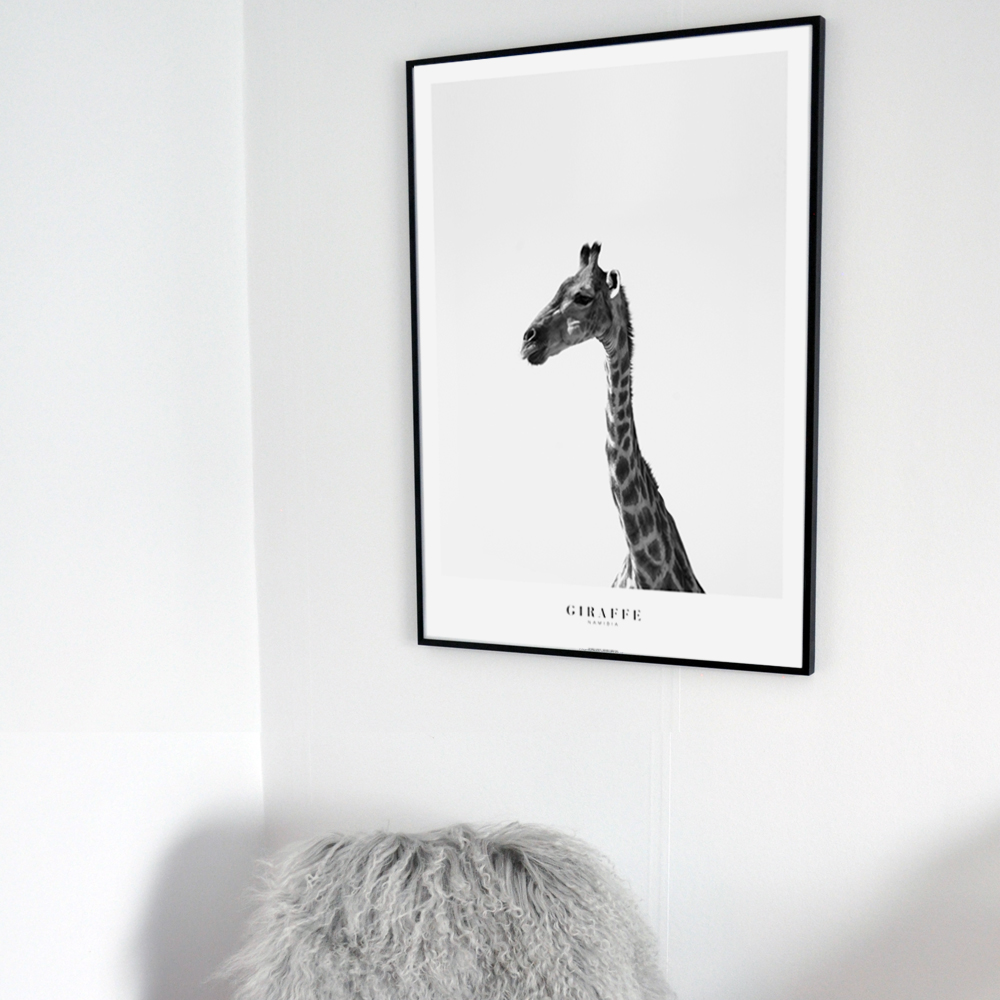 Giraffe - 3
