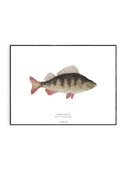 Perch