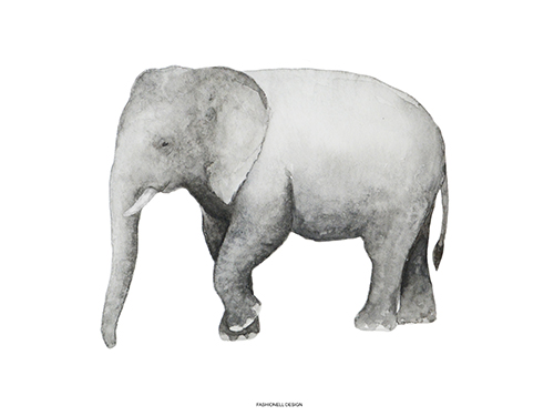 Elephant - 3