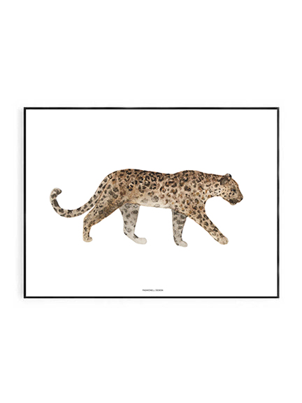 Leopard