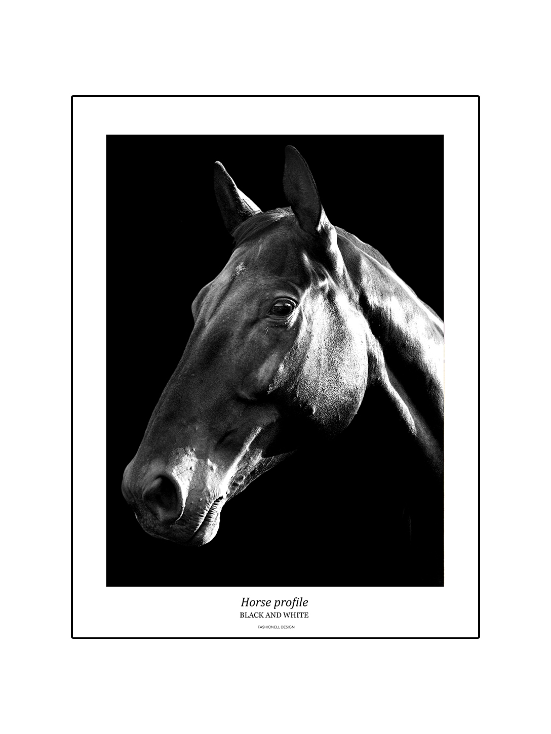 Horse profile - 2