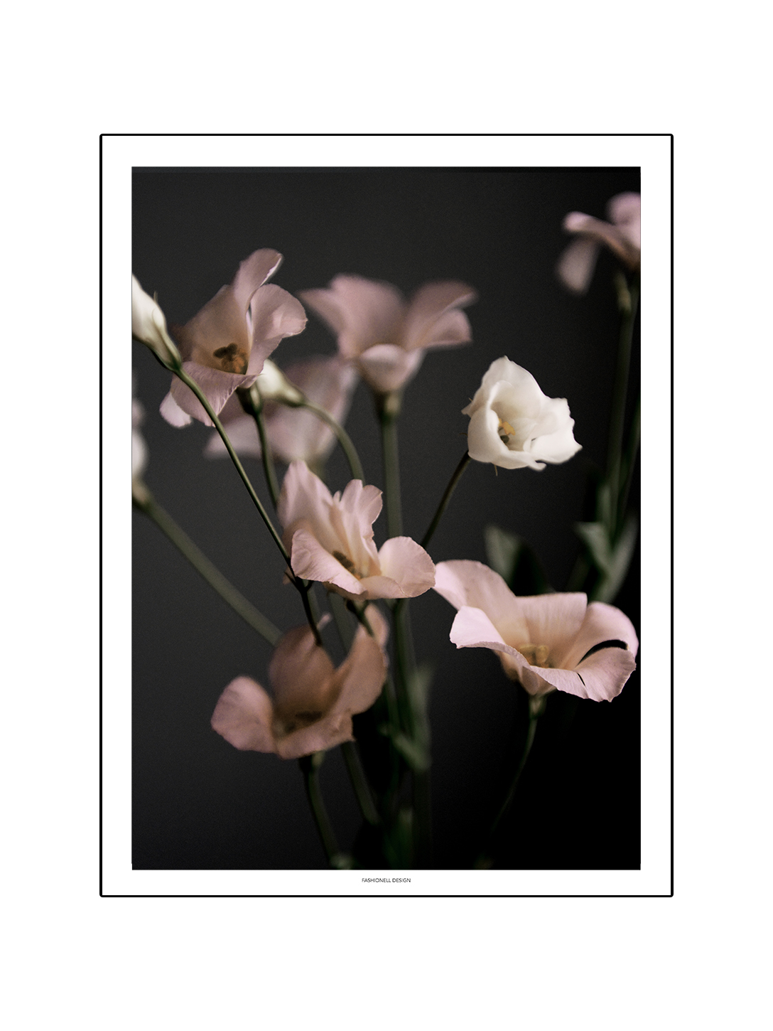 Delicate flower