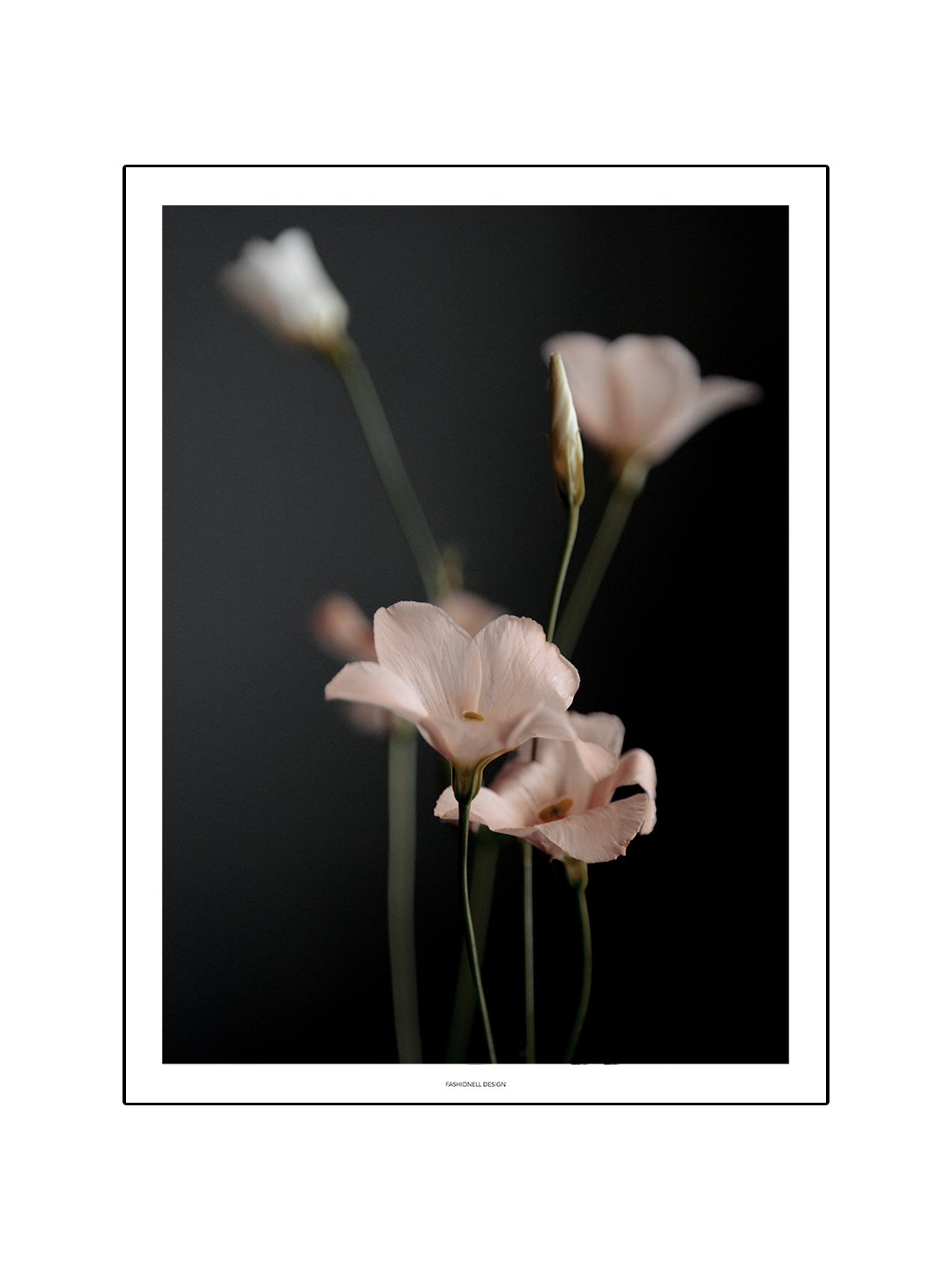Tiny Flower - 2