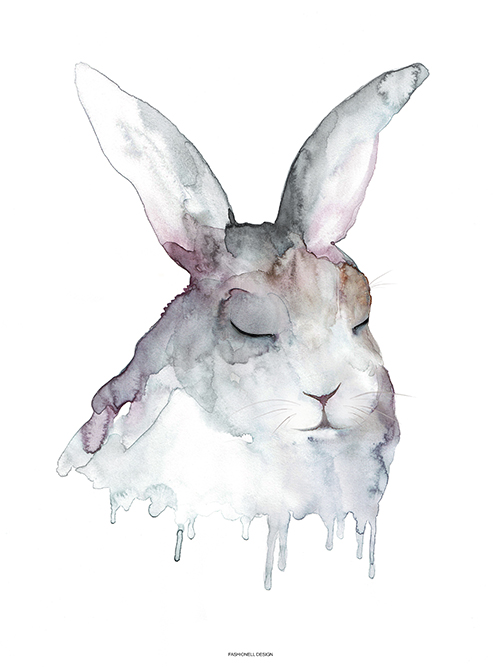 Bunny - 3