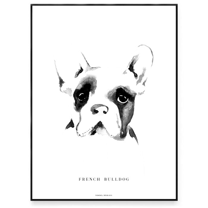 French Bulldog