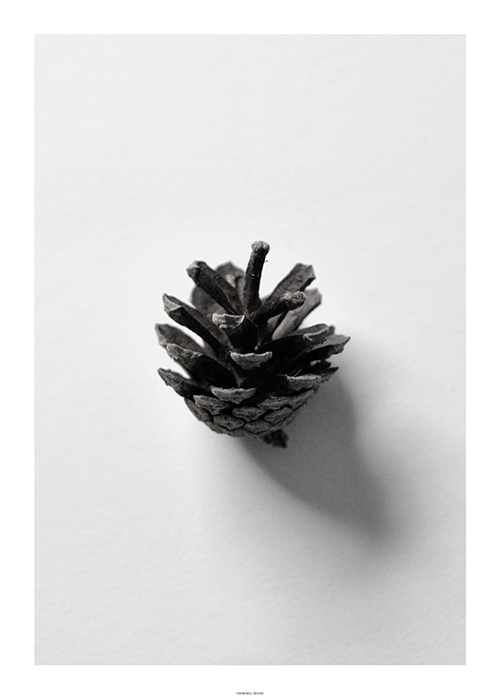 Cone - 3