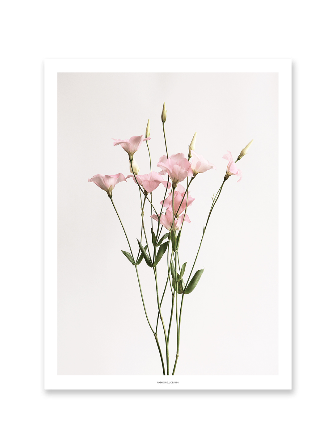 Pink buds