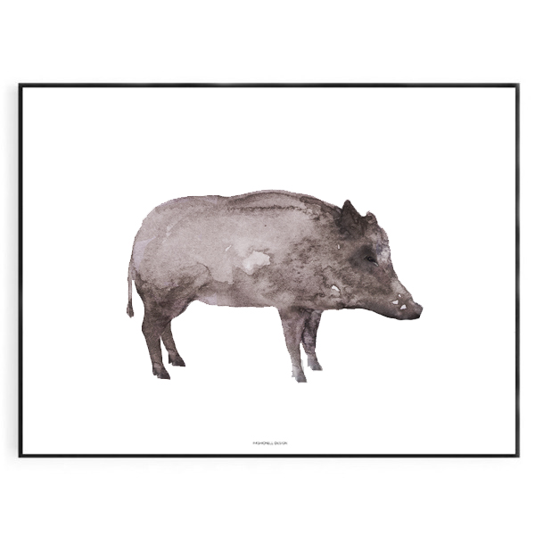 Wild boar
