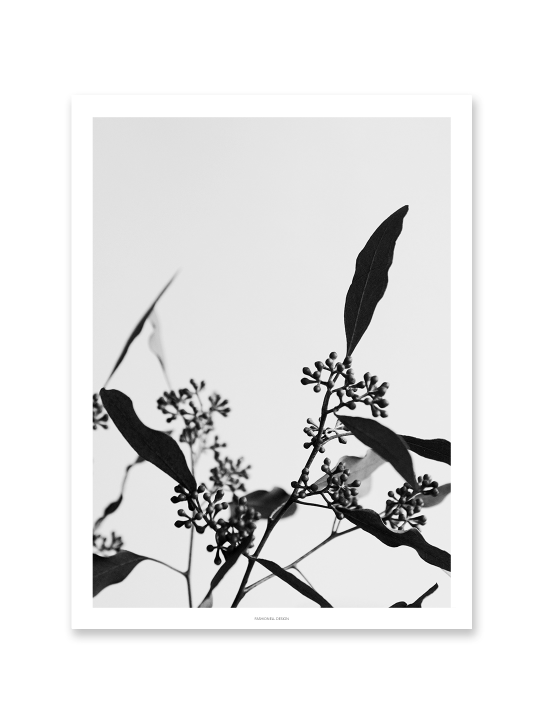 Twig