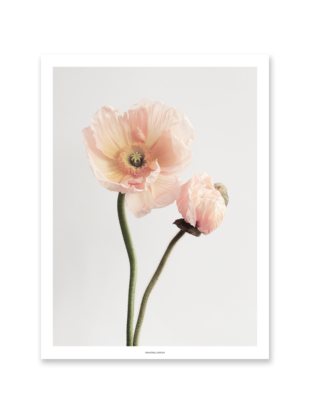 Poppy light