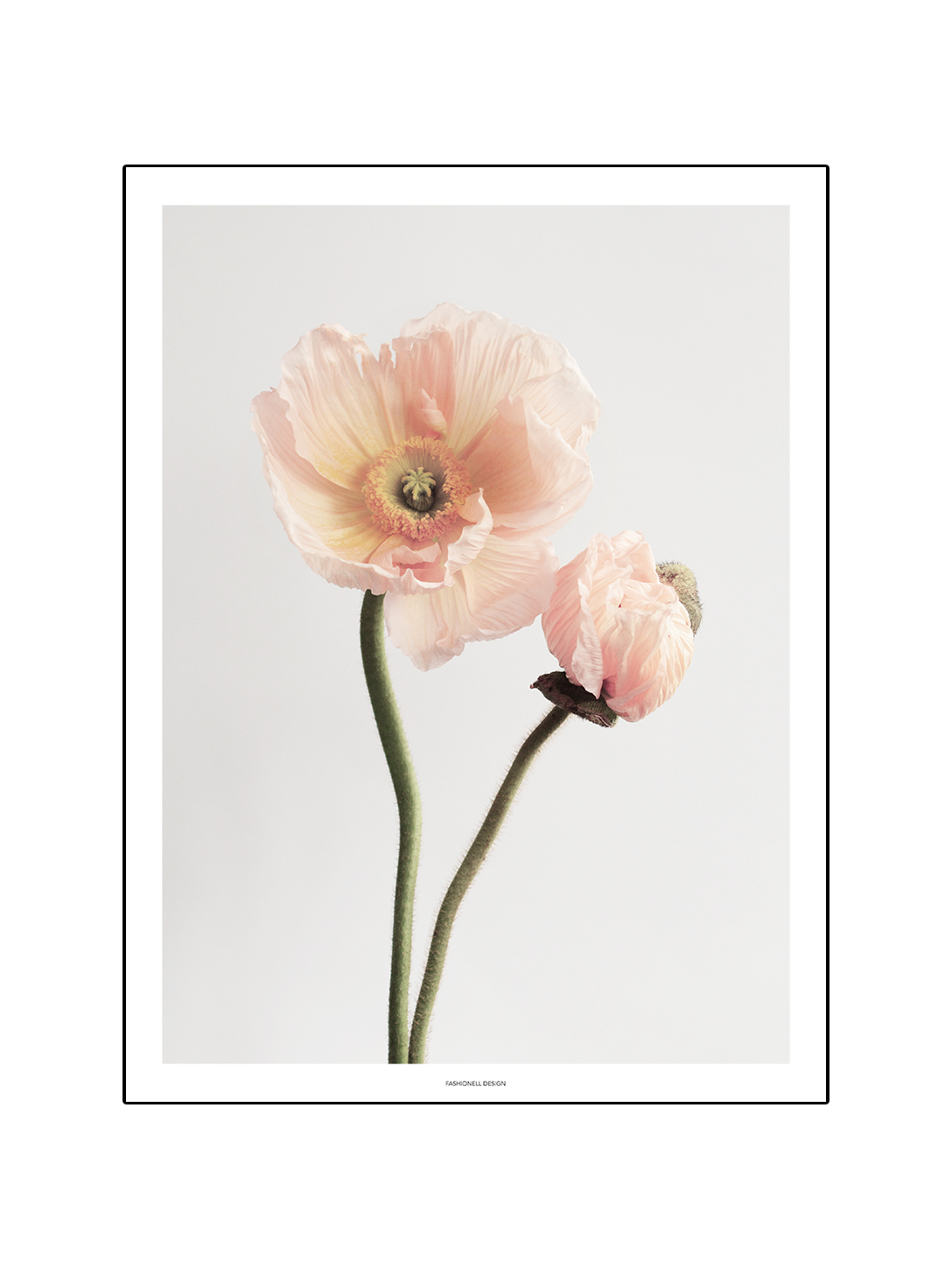 Poppy light